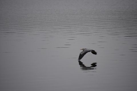 Tiny photo for 4713 E Lake Shore Drive, Wonder Lake, IL 60097 (MLS # 12589272)