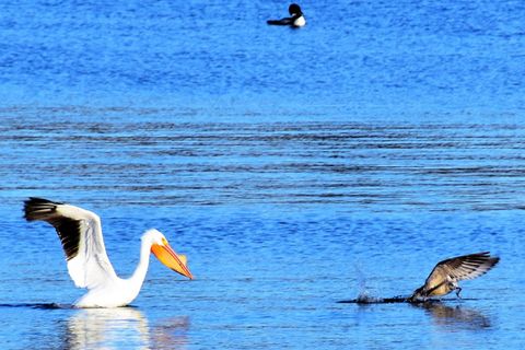 Tiny photo for 4713 E Lake Shore Drive, Wonder Lake, IL 60097 (MLS # 12589272)