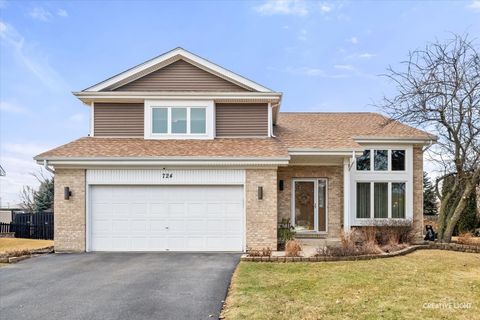 Photo of 724 Small Court, Naperville, IL 60563 (MLS # 12573555)