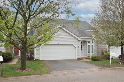 11 Crabapple Court Lake In The Hills IL 60156