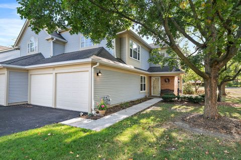 Photo of 133 White Branch S Court #133, Schaumburg, IL 60194 (MLS # 12481795)