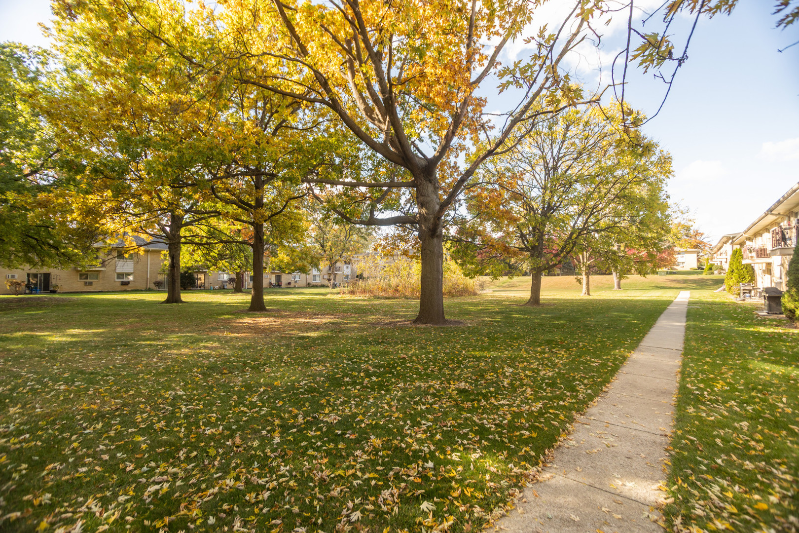 551 CARLYSLE Drive 2