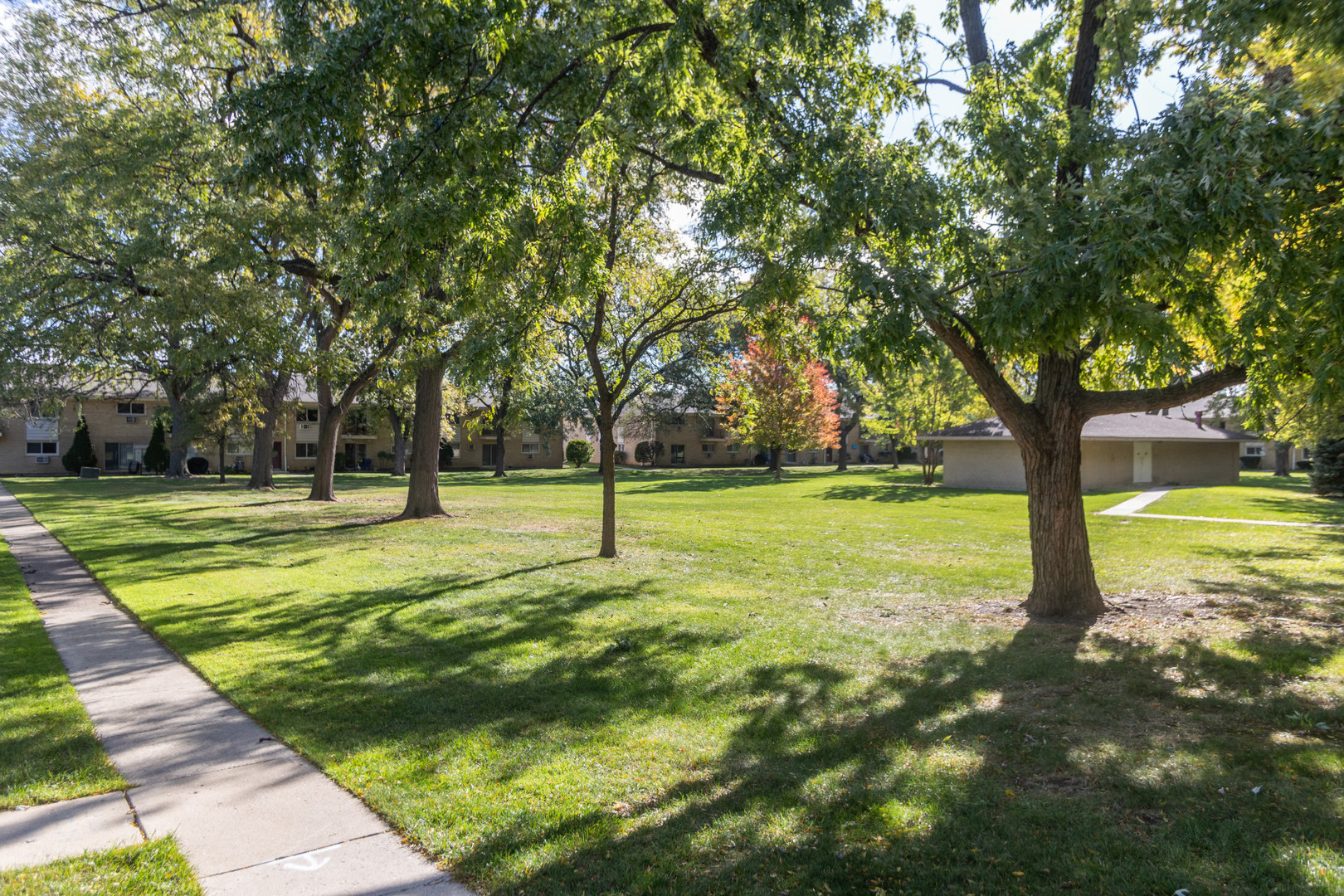 551 CARLYSLE Drive 2