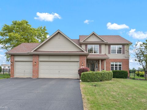 2808 Foxwood Drive New Lenox IL 60451
