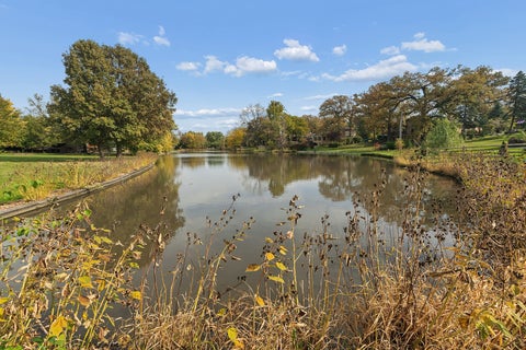 Tiny photo for 7950 Laguna Drive, Orland Park, IL 60462 (MLS # 12795787)