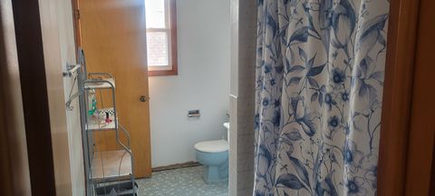 Tiny photo for 927 Walter Street, Lemont, IL 60439 (MLS # 12601041)