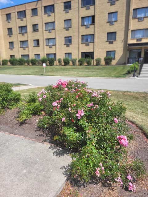 Photo of 6670 S Brainard Avenue #404, Countryside, IL 60525 (MLS # 12699121)