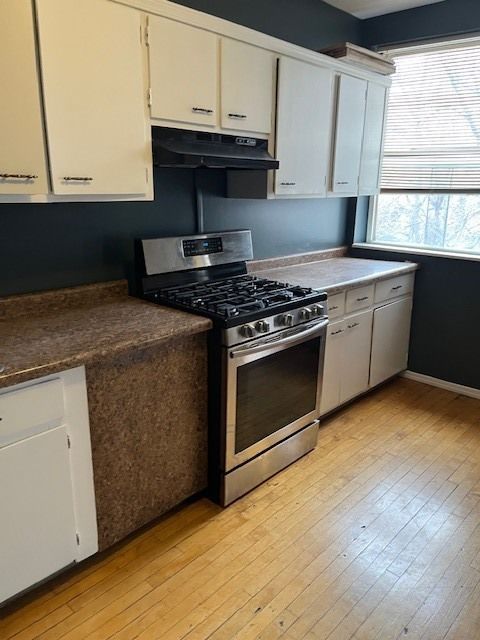 Tiny photo for Chicago, IL 60624 (MLS # 12545332)