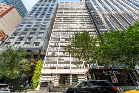 230 E Ontario Street 1703 Chicago IL 60611