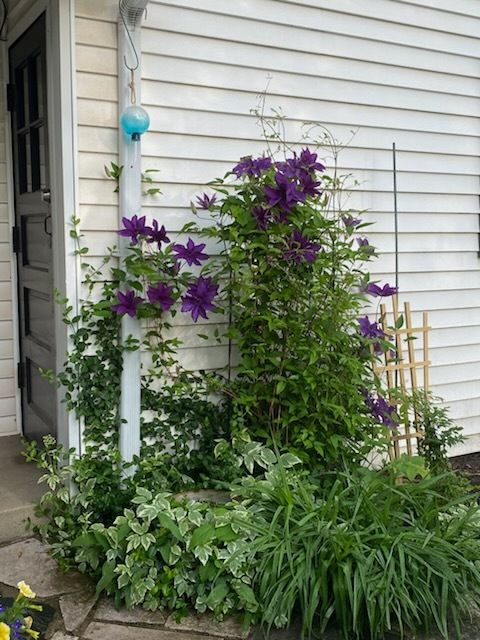 Tiny photo for 911 Travers Lane, Flossmoor, IL 60422 (MLS # 12464294)