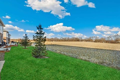 Tiny photo for 1005 Regent Drive, Matteson, IL 60443 (MLS # 12467623)