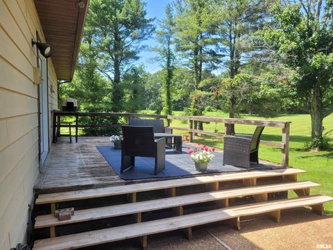 Tiny photo for 11968 E Goshen Meadows Road, Mt Vernon, IL 62864 (MLS # EB458636)