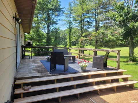 Tiny photo for 11968 E Goshen Meadows Road, Mt Vernon, IL 62864 (MLS # EB458636)