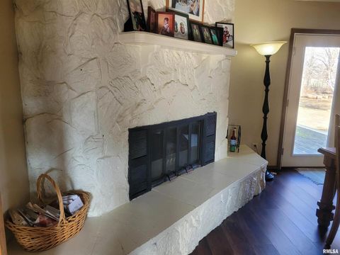 Tiny photo for 11968 E Goshen Meadows Road, Mt Vernon, IL 62864 (MLS # EB458636)
