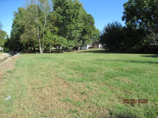 TBD BOULEVARD STREET, MARION, IL 62959 - Image e465519dfff2d2fa26384ed1d9111b07/4294620072