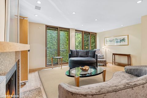 Tiny photo for 1318 N SUTTON Place, Chicago, IL 60610 (MLS # 12481315)