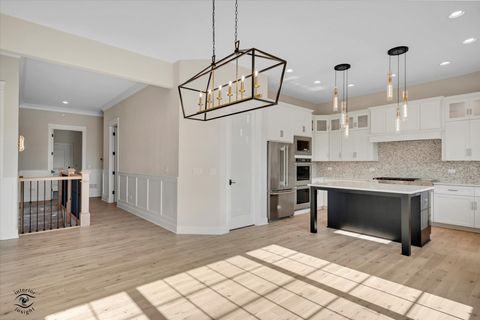 Tiny photo for Frankfort, IL 60423 (MLS # 12630056)