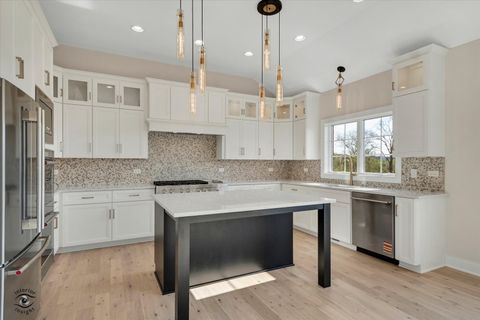 Tiny photo for Frankfort, IL 60423 (MLS # 12630056)