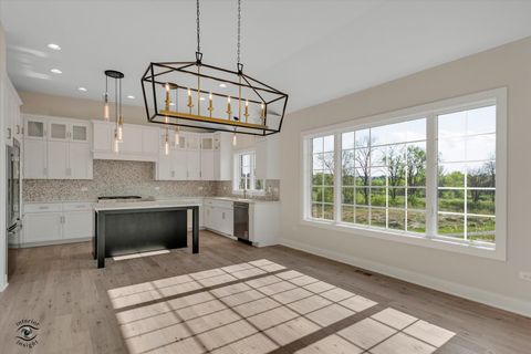 Tiny photo for Frankfort, IL 60423 (MLS # 12630056)