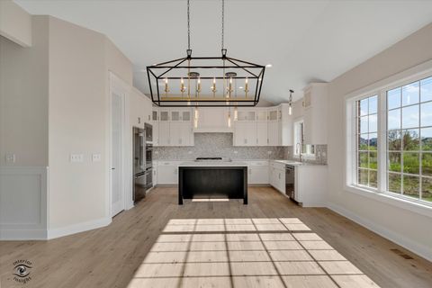 Tiny photo for Frankfort, IL 60423 (MLS # 12630056)