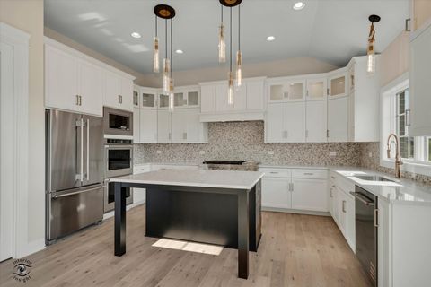 Tiny photo for Frankfort, IL 60423 (MLS # 12630056)