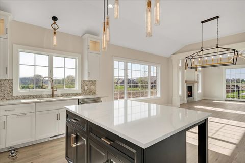 Tiny photo for Frankfort, IL 60423 (MLS # 12630056)