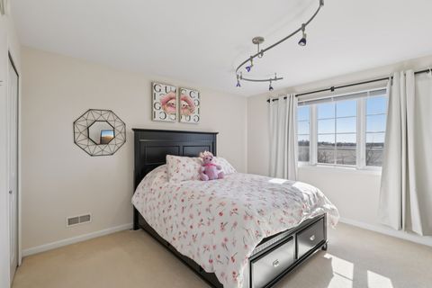 Tiny photo for 14738 S Aster Lane, Homer Glen, IL 60491 (MLS # 12563313)