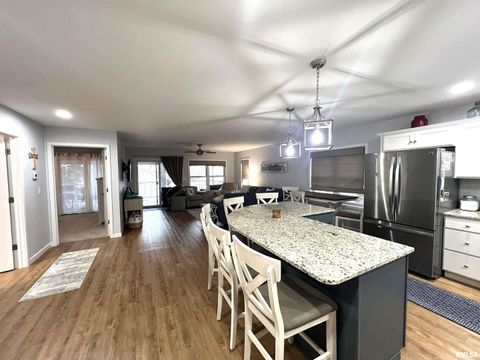 Tiny photo for 895 LAKESHORE Drive N, Goreville, IL 62939 (MLS # EB460540)