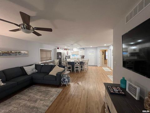 Tiny photo for 895 LAKESHORE Drive N, Goreville, IL 62939 (MLS # EB460540)