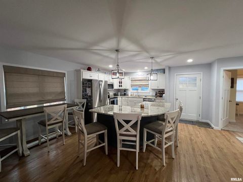 Tiny photo for 895 LAKESHORE Drive N, Goreville, IL 62939 (MLS # EB460540)