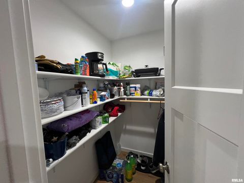 Tiny photo for 895 LAKESHORE Drive N, Goreville, IL 62939 (MLS # EB460540)