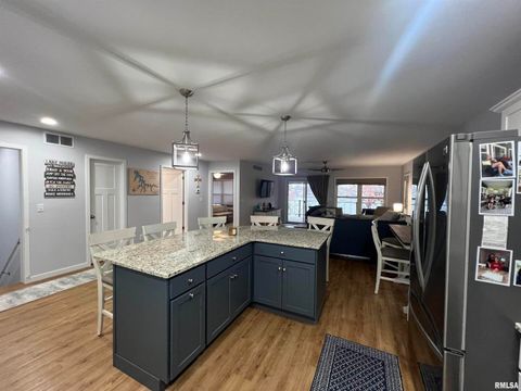 Tiny photo for 895 LAKESHORE Drive N, Goreville, IL 62939 (MLS # EB460540)