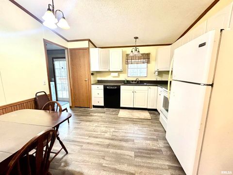 Tiny photo for 2282 LOGAN Road, West Frankfort, IL 62896 (MLS # EB460716)