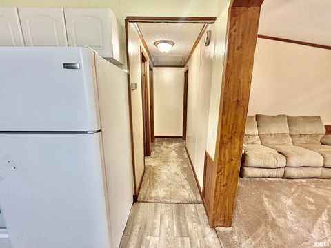 Tiny photo for 2282 LOGAN Road, West Frankfort, IL 62896 (MLS # EB460716)