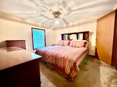 Tiny photo for 2282 LOGAN Road, West Frankfort, IL 62896 (MLS # EB460716)