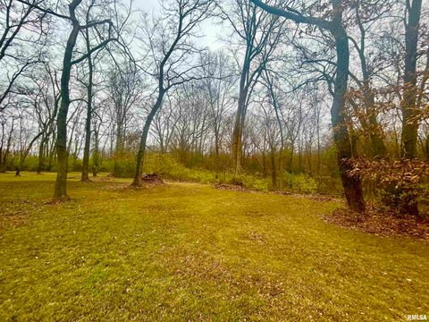 Tiny photo for 2282 LOGAN Road, West Frankfort, IL 62896 (MLS # EB460716)