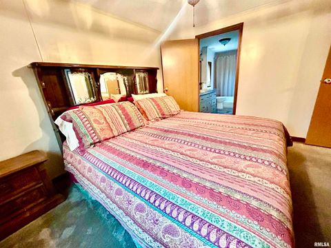 Tiny photo for 2282 LOGAN Road, West Frankfort, IL 62896 (MLS # EB460716)