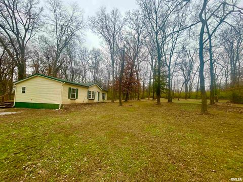 Tiny photo for 2282 LOGAN Road, West Frankfort, IL 62896 (MLS # EB460716)