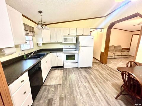 Tiny photo for 2282 LOGAN Road, West Frankfort, IL 62896 (MLS # EB460716)