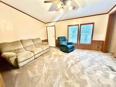 Tiny photo for 2282 LOGAN Road, West Frankfort, IL 62896 (MLS # EB460716)