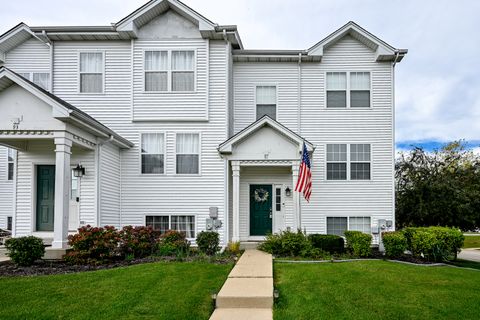 91 W Big Horn Drive Hainesville IL 60073