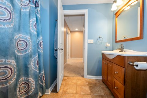 Tiny photo for 21466 English Circle, Frankfort, IL 60423 (MLS # 12480315)