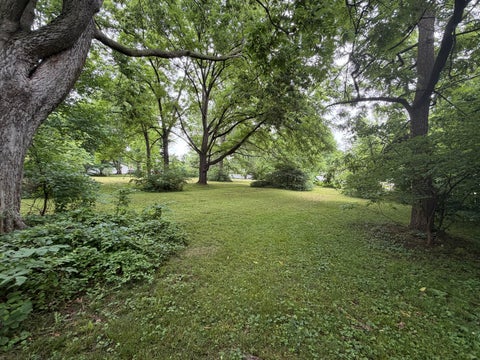 Tiny photo for 216 S Washington Street, Kinmundy, IL 62854 (MLS # 12673023)