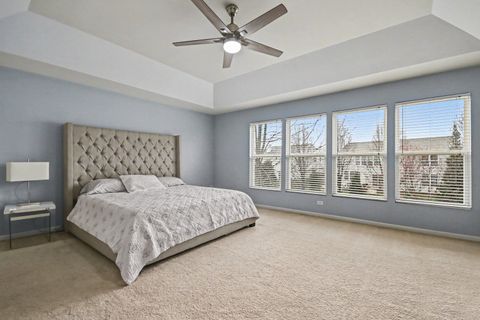 Tiny photo for 371 Sweet Gum Street, Bolingbrook, IL 60490 (MLS # 12606124)