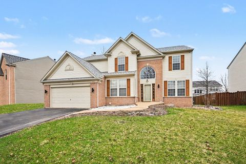 Photo of 371 Sweet Gum Street, Bolingbrook, IL 60490 (MLS # 12606124)