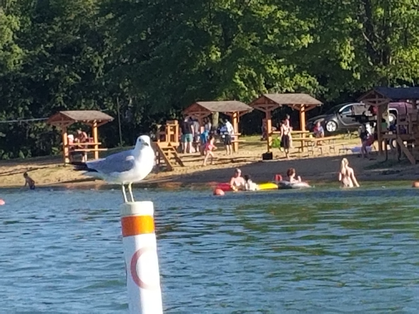 2185 Gainsboro Avenue