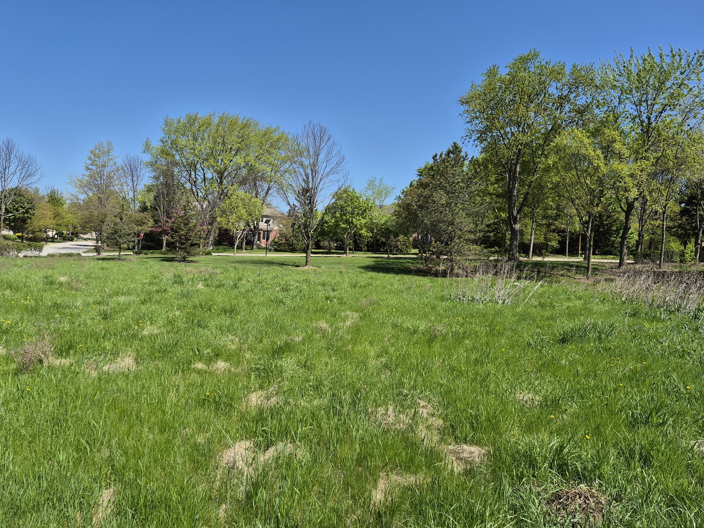 7215 Daybreak Lane