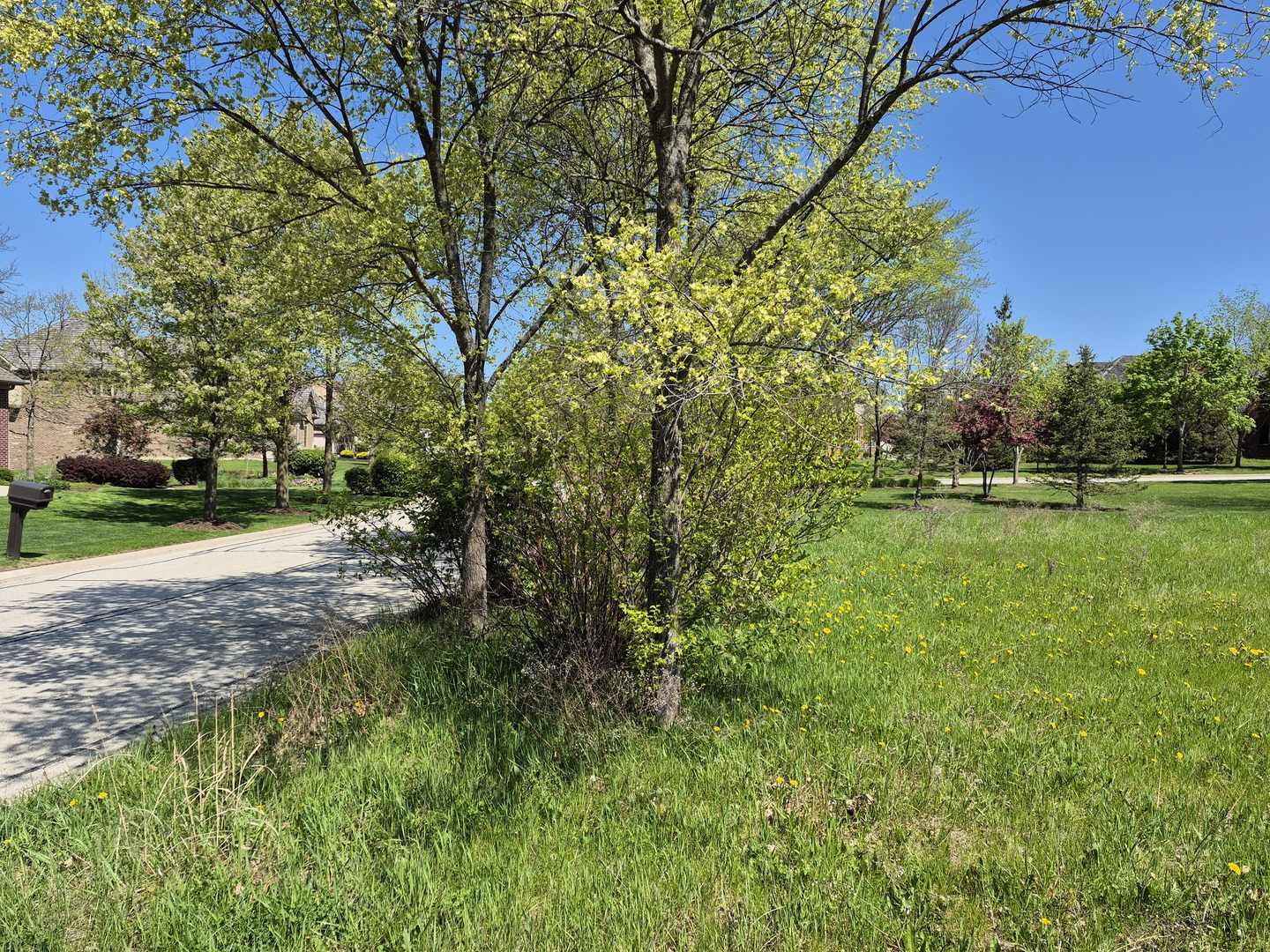 7215 Daybreak Lane