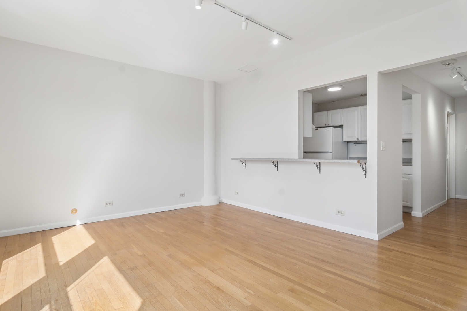 431 S Dearborn Street 1004