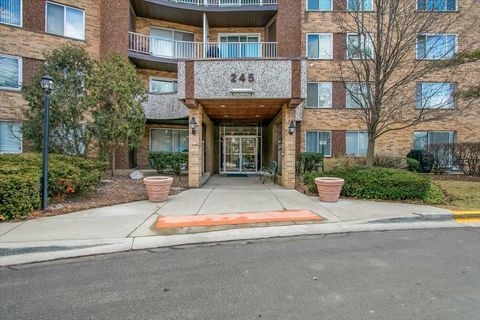 Photo of 245 S Park Lane #321, Palatine, IL 60074 (MLS # 12576335)